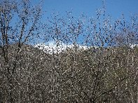 fugio Paterno-20100221 027